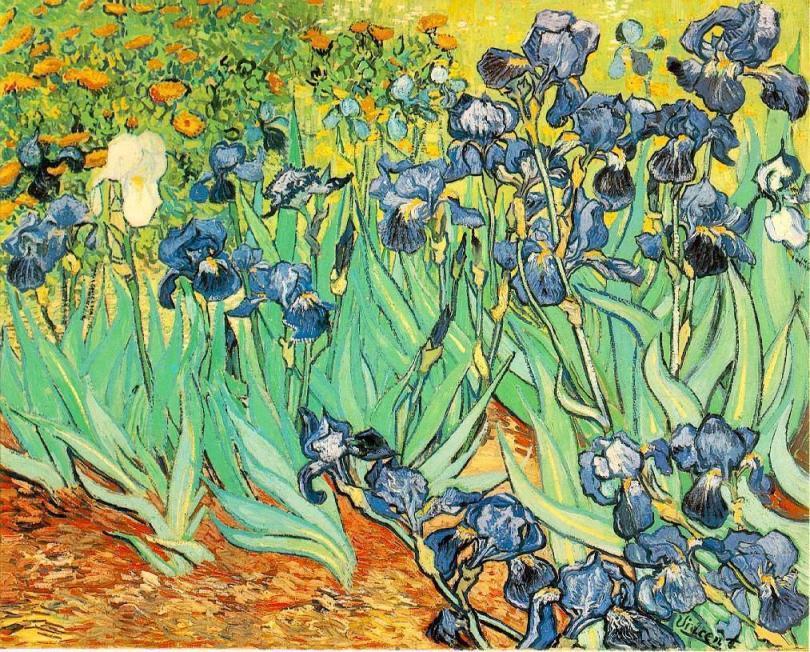 Vincent Van Gogh Famous Paintings page 2